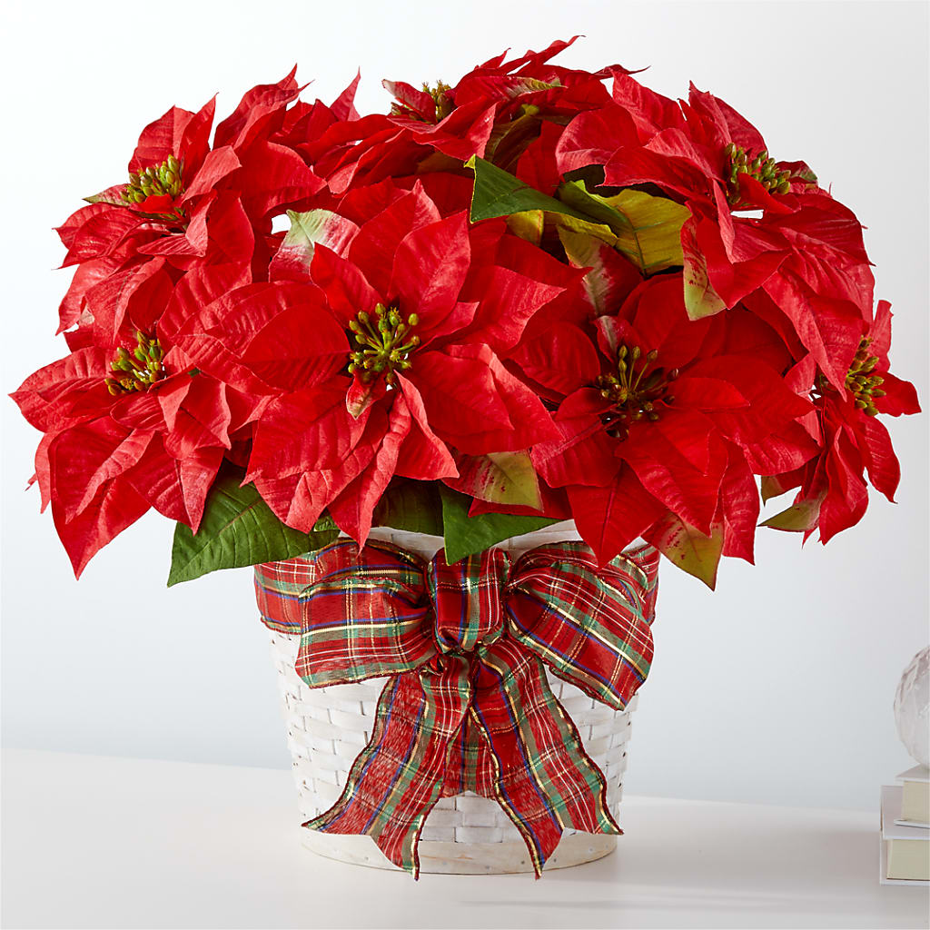 Happiest Holidays Poinsettia – Rosewood Flower Shop, Humble TX