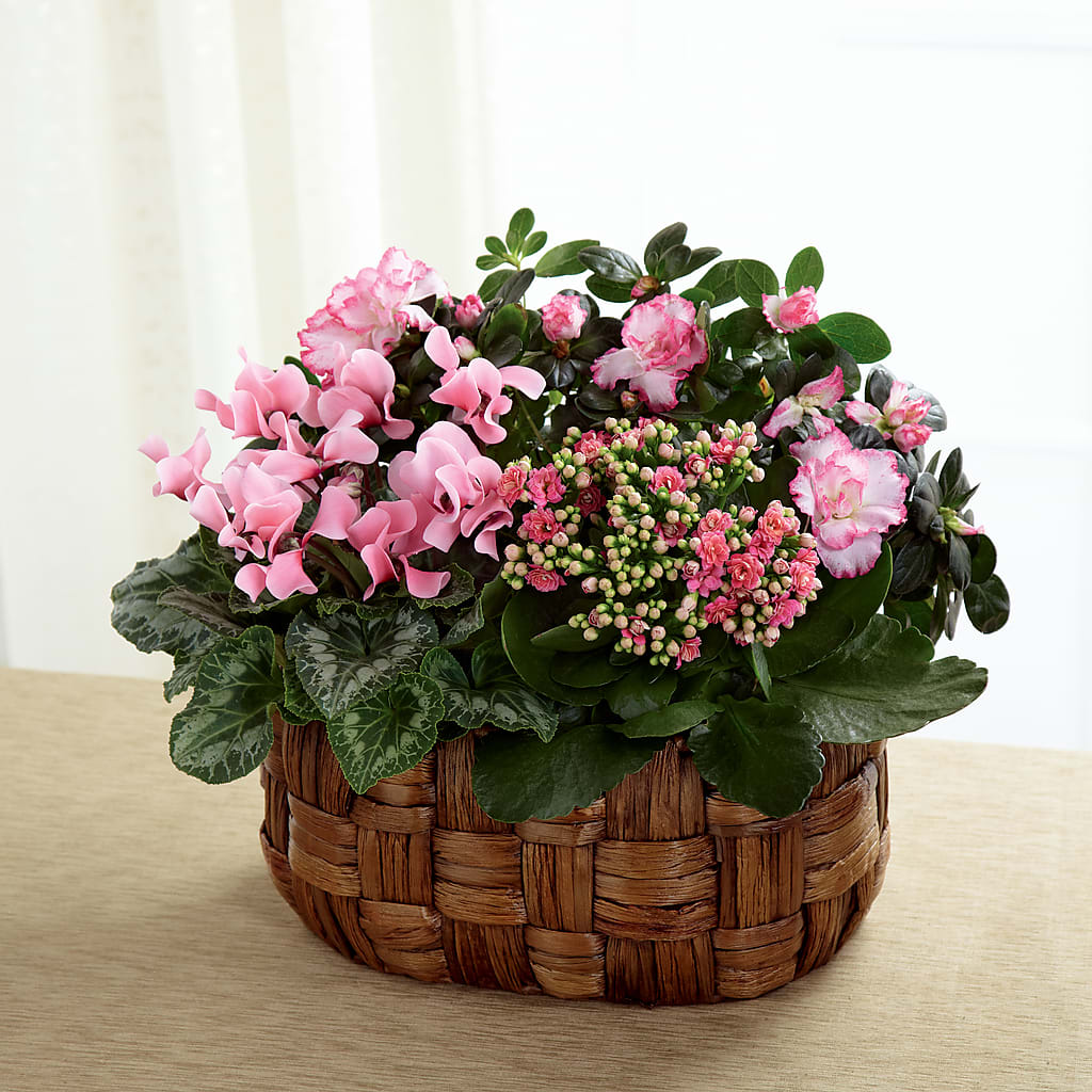 Pink Assortment – Rosewood Flower Shop, Humble TX