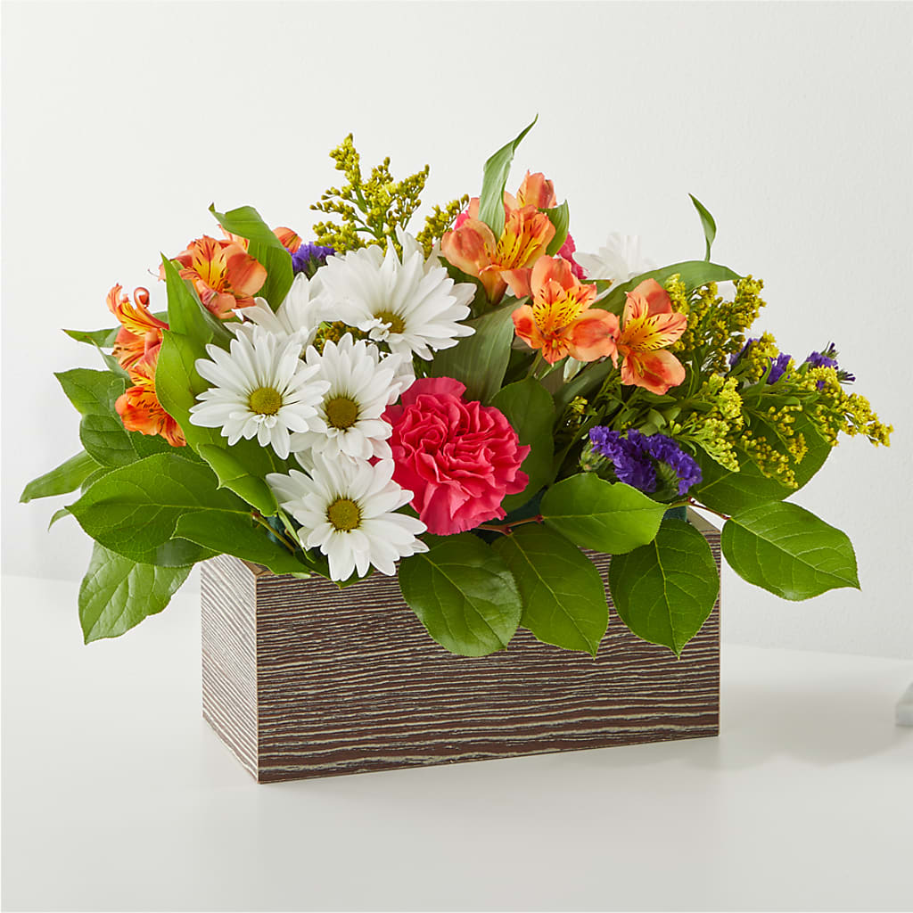 Oopsie Daisy Box Bouquet – Rosewood Flower Shop, Humble TX