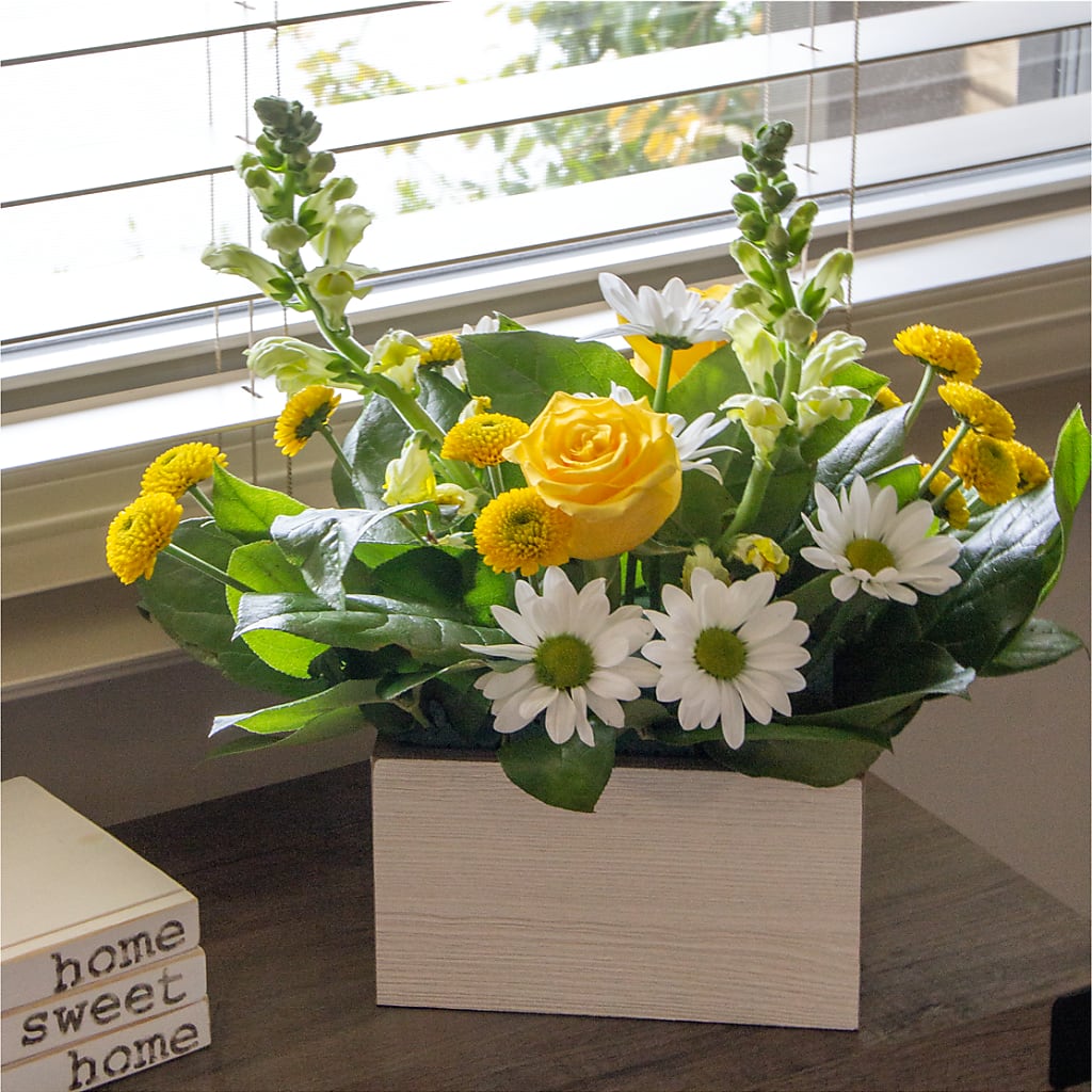 Sun Salutation Box Bouquet – Rosewood Flower Shop, Humble TX