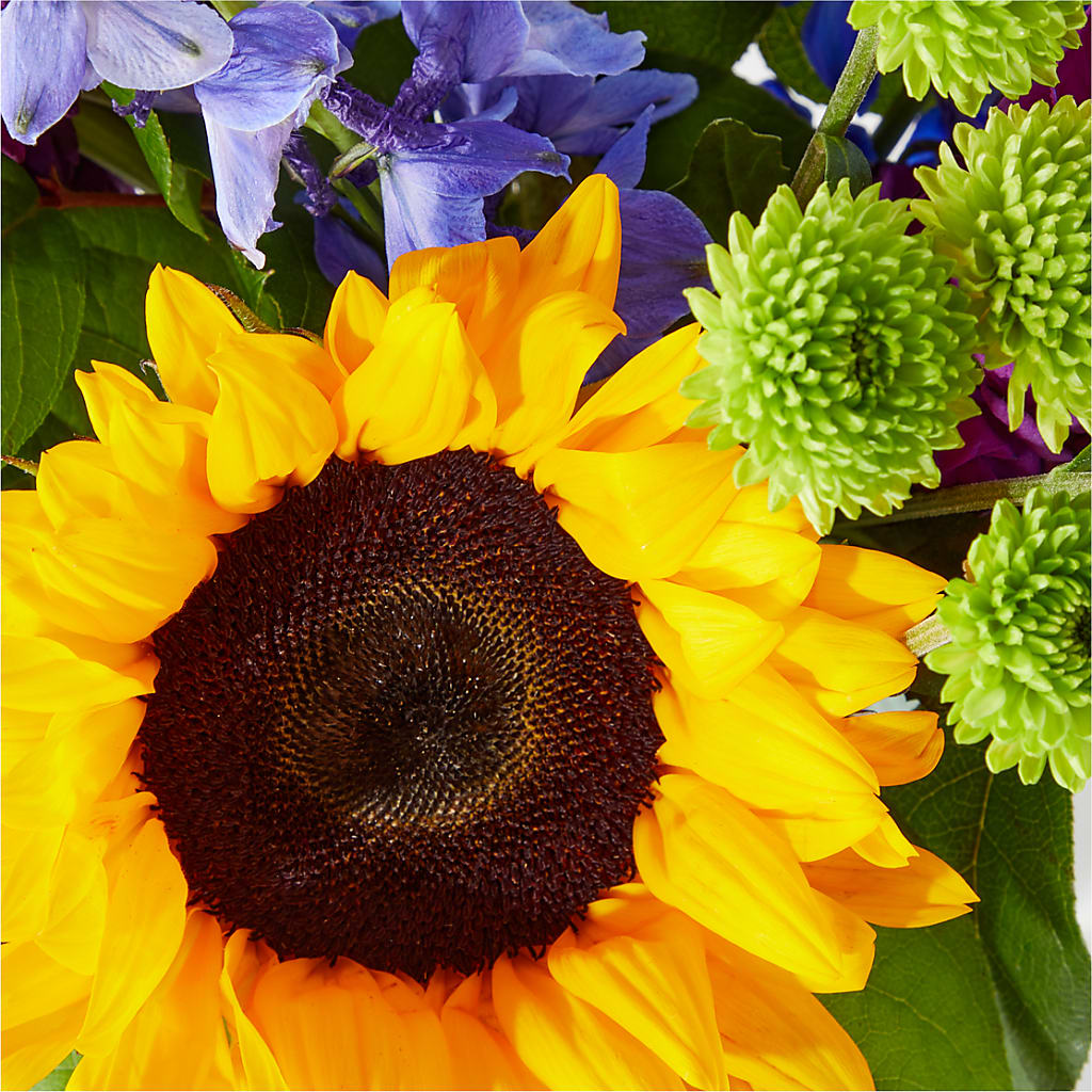 Catching Rays Bouquet – Rosewood Flower Shop, Humble TX