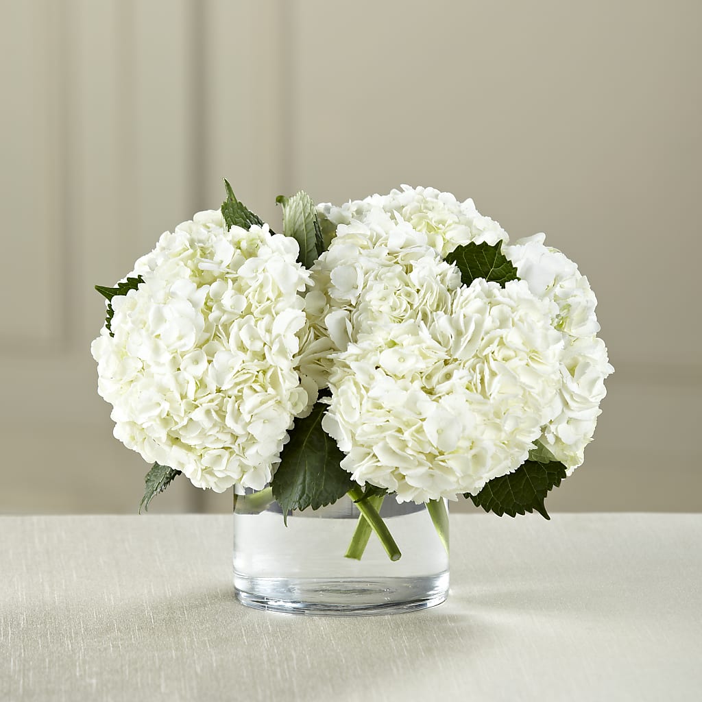 White Hydrangea Bouquet – Rosewood Flower Shop, Humble TX