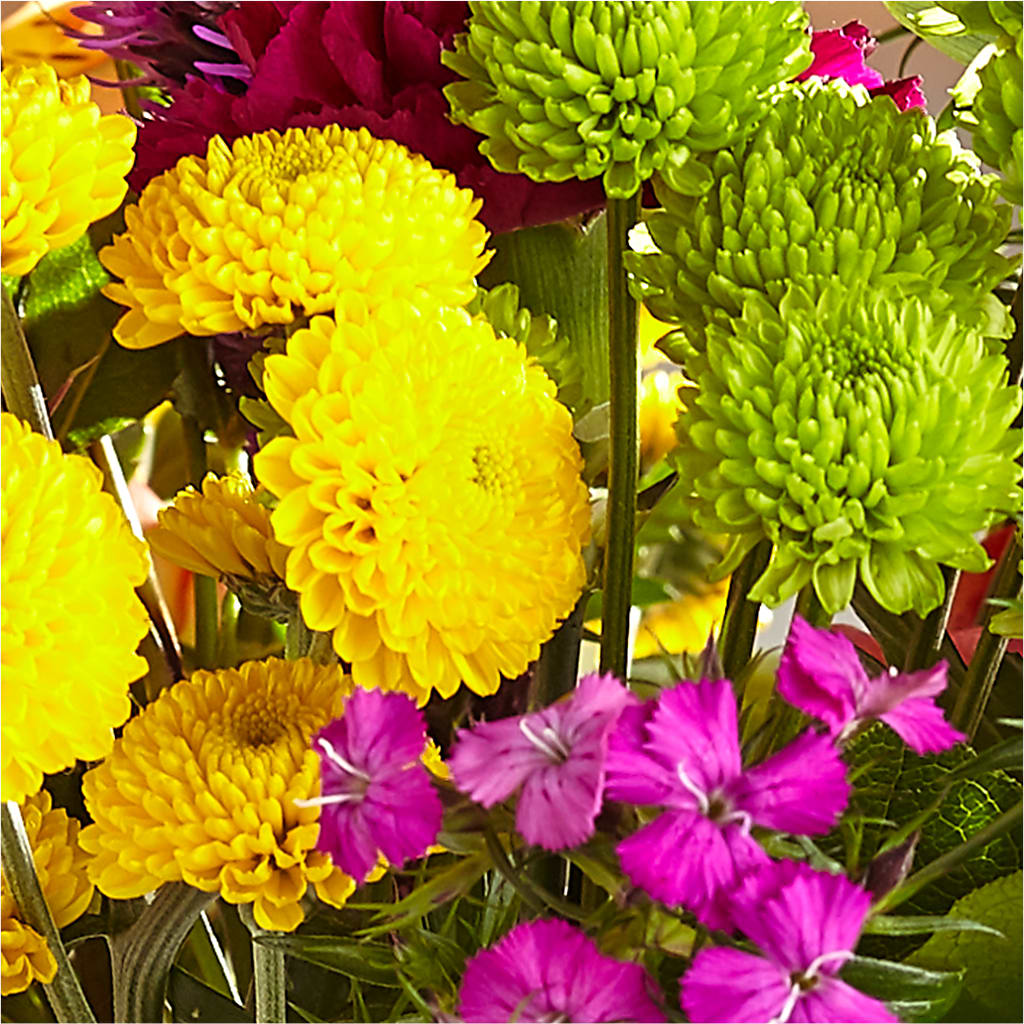 Bold & Bright – A Florist Original –  Rosewood Flower Shop, Humble TX