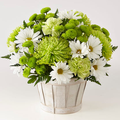 Lucky Charm Basket (Standard) –  Rosewood Flower Shop, Humble TX