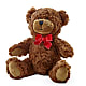 Adorable Plush Bear –  Rosewood Flower Shop, Humble TX