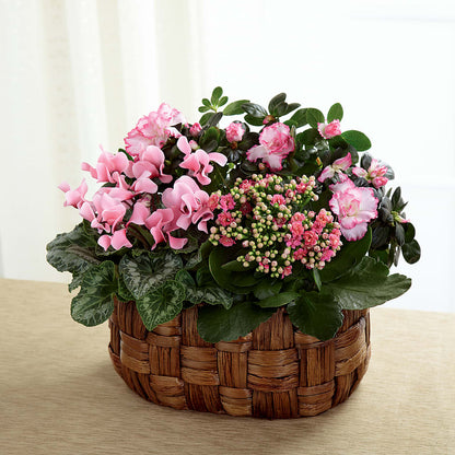 Pink Assortment –  Rosewood Flower Shop, Humble TX