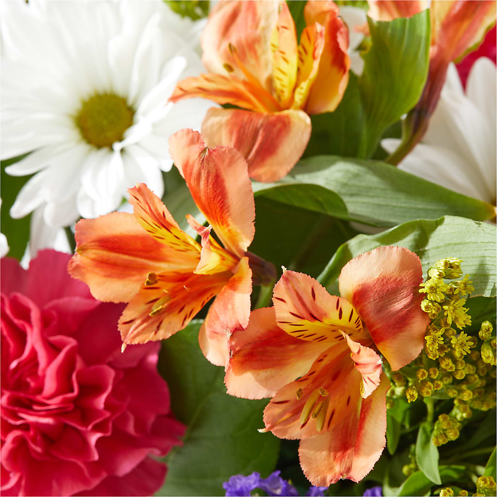 Oopsie Daisy Box Bouquet –  Rosewood Flower Shop, Humble TX