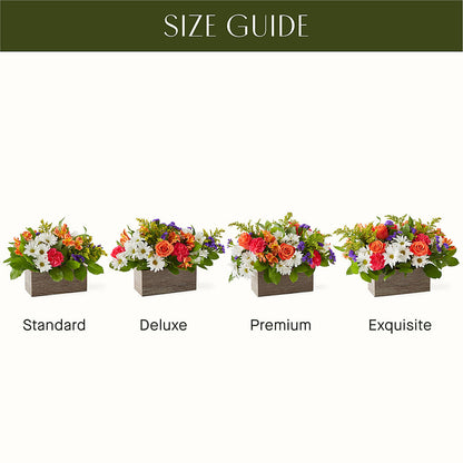 Oopsie Daisy Box Bouquet –  Rosewood Flower Shop, Humble TX