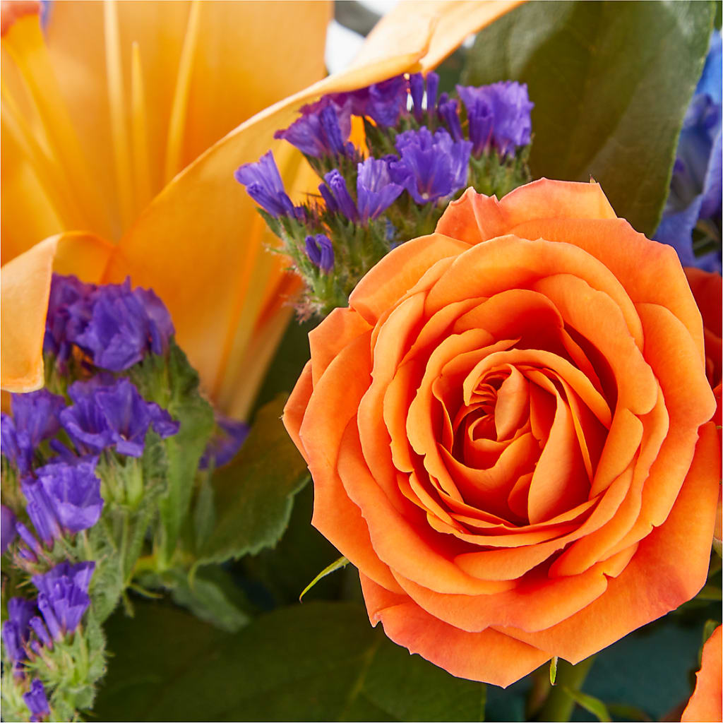 Radiant Citrus Box Bouquet –  Rosewood Flower Shop, Humble TX