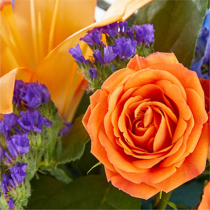 Radiant Citrus Box Bouquet –  Rosewood Flower Shop, Humble TX