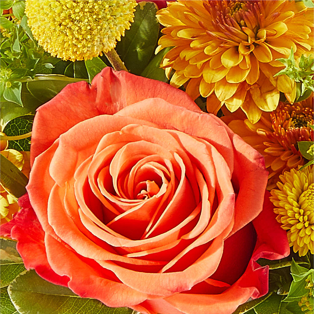 Gourdgeous Pumpkin –  Rosewood Flower Shop, Humble TX