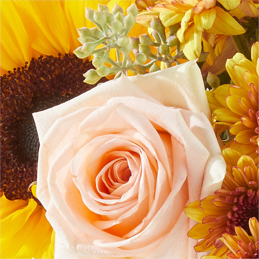 Pumpkin to Talk About Bouquet –  Rosewood Flower Shop, Humble TX