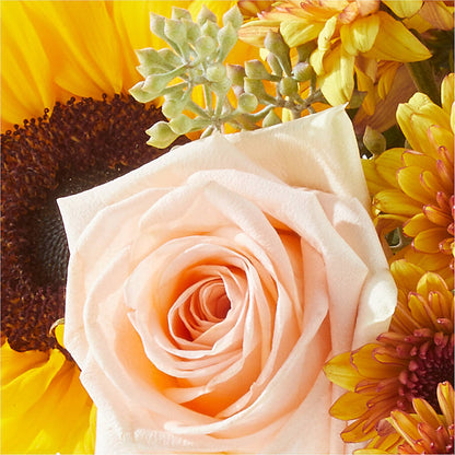 Pumpkin to Talk About Bouquet –  Rosewood Flower Shop, Humble TX