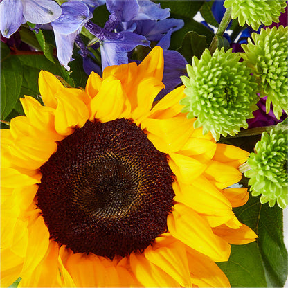 Catching Rays Bouquet –  Rosewood Flower Shop, Humble TX