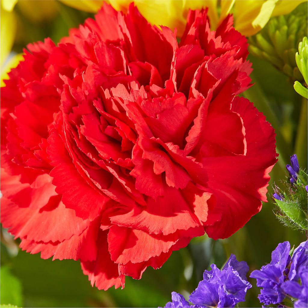 Brighter Days Bouquet –  Rosewood Flower Shop, Humble TX