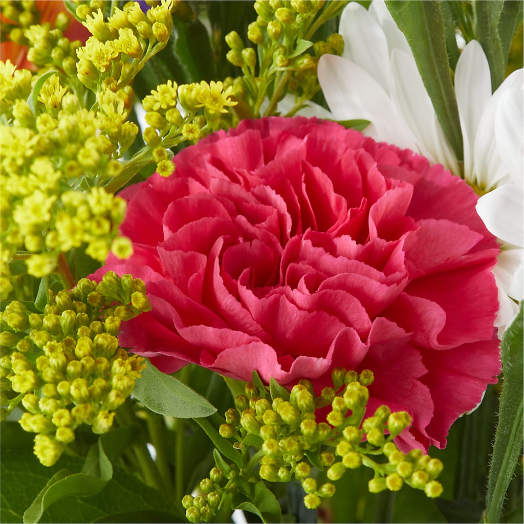 Oopsie Daisy Bouquet –  Rosewood Flower Shop, Humble TX