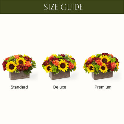Happy Harvest Garden –  Rosewood Flower Shop, Humble TX
