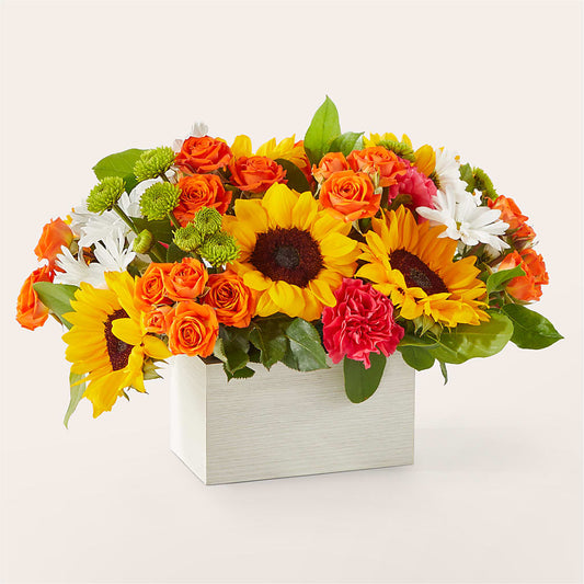 Sun-drenched Blooms Box Bouquet –  Rosewood Flower Shop, Humble TX