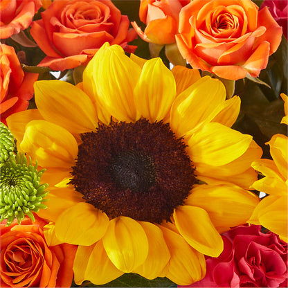 Sun-drenched Blooms Box Bouquet –  Rosewood Flower Shop, Humble TX