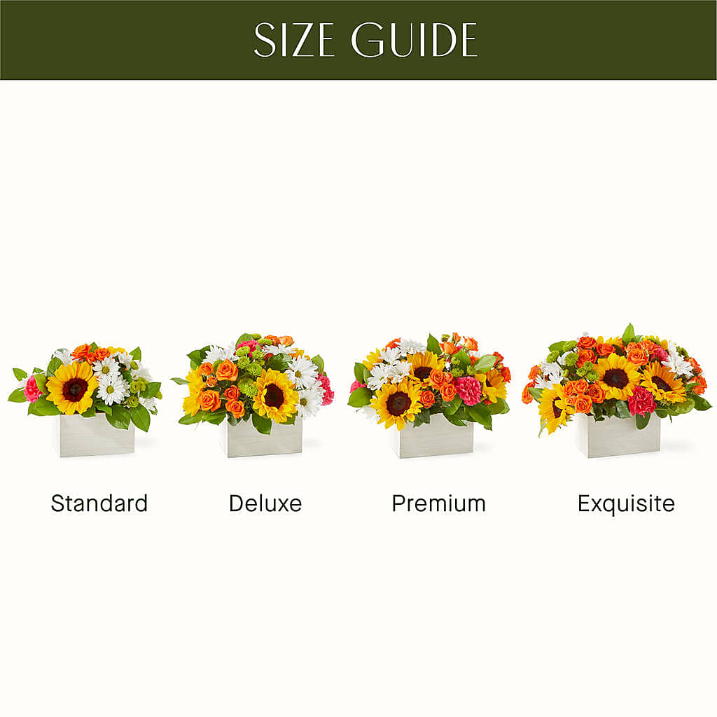 Sun-drenched Blooms Box Bouquet –  Rosewood Flower Shop, Humble TX