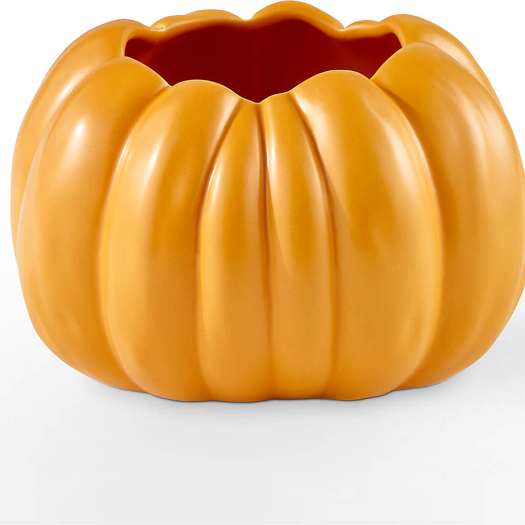 Golden Gourd Pumpkin Bouquet –  Rosewood Flower Shop, Humble TX