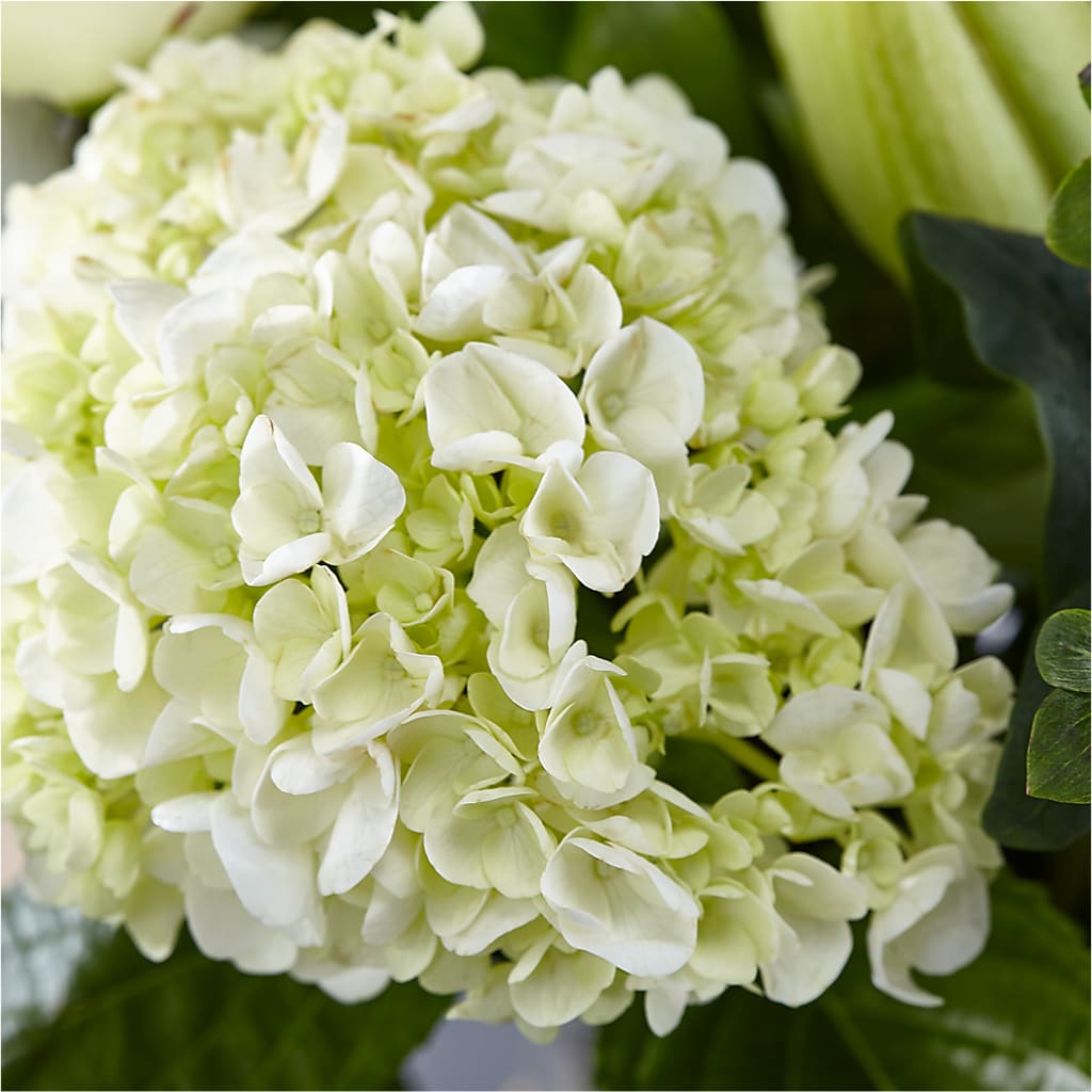 Classic Ivory – A Florist Original –  Rosewood Flower Shop, Humble TX