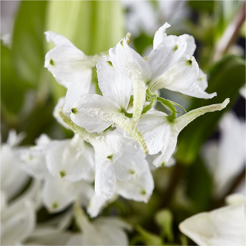 Classic Ivory – A Florist Original –  Rosewood Flower Shop, Humble TX