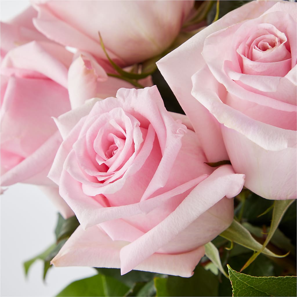 Picture Perfect Pink Rose Bouquet –  Rosewood Flower Shop, Humble TX