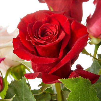 Love Notes Rose Bouquet –  Rosewood Flower Shop, Humble TX