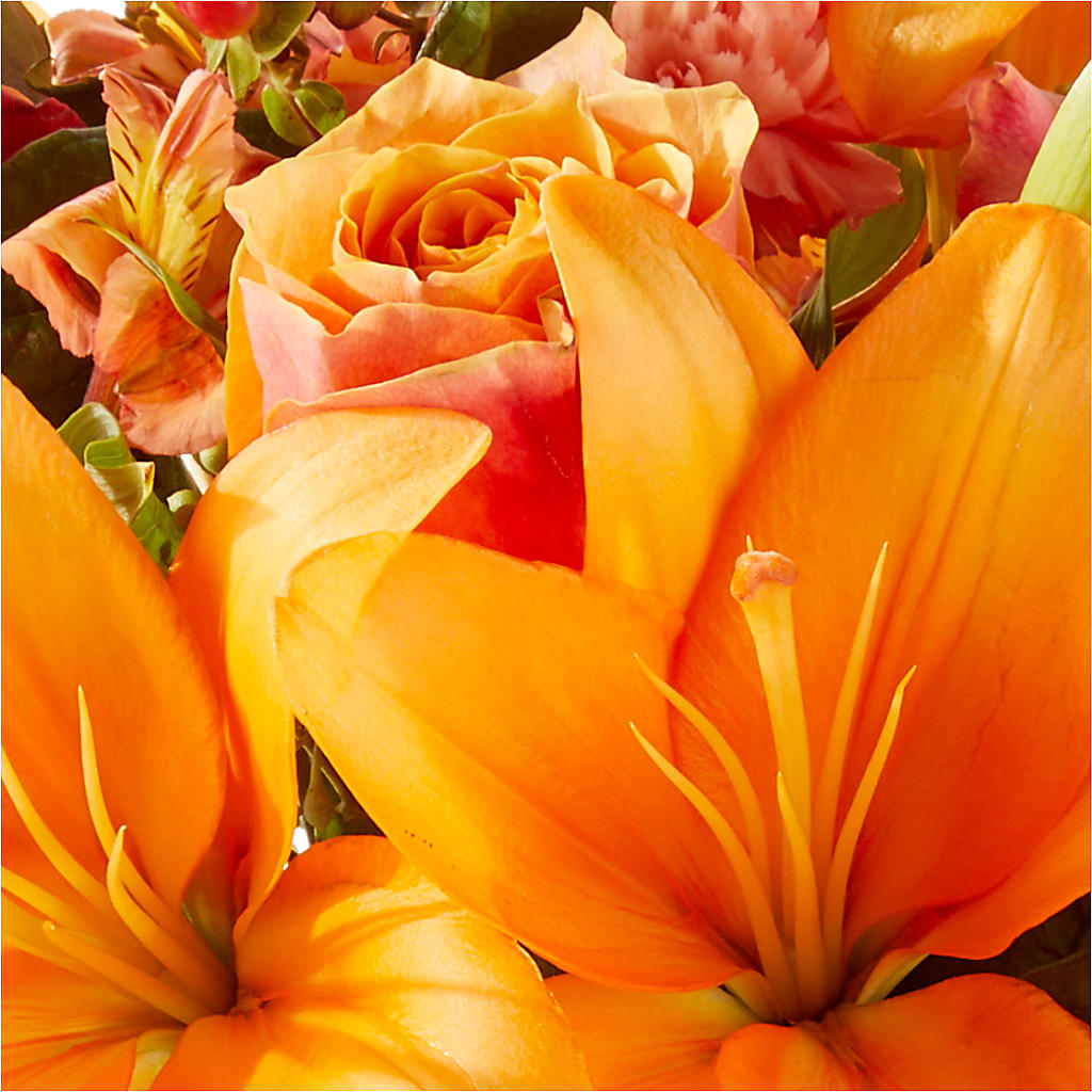 Afternoon Light Bouquet –  Rosewood Flower Shop, Humble TX