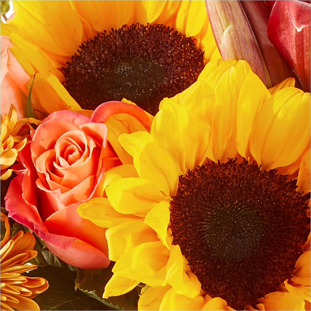 Acorn Lane Bouquet –  Rosewood Flower Shop, Humble TX