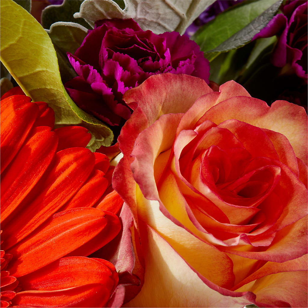Sangria Bouquet –  Rosewood Flower Shop, Humble TX