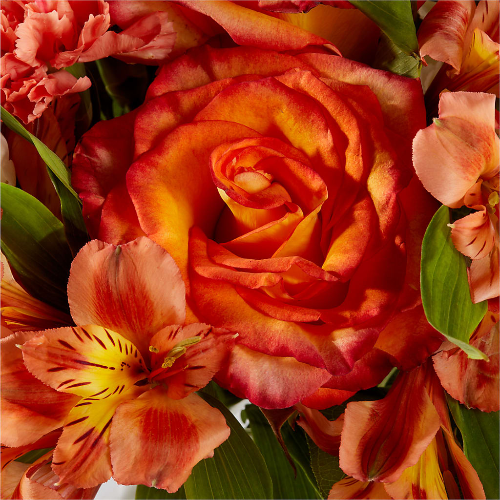 Apricot Glow Bouquet –  Rosewood Flower Shop, Humble TX