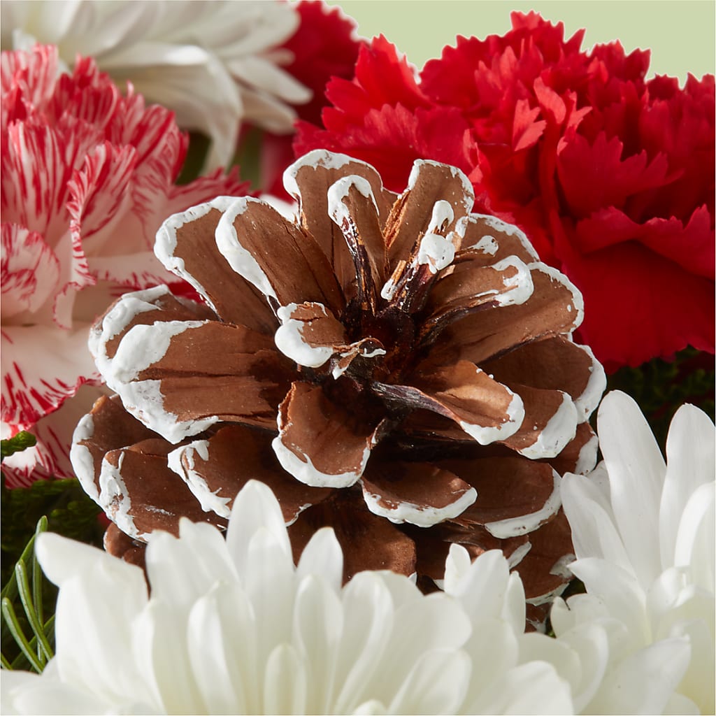Candy Cane Lane Bouquet –  Rosewood Flower Shop, Humble TX