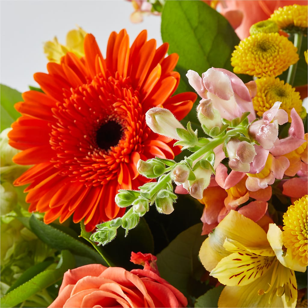 Autumn Sunshine Bouquet –  Rosewood Flower Shop, Humble TX