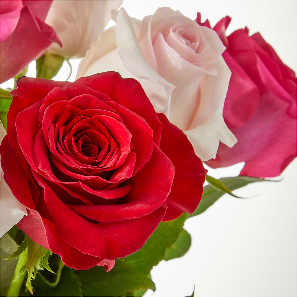 Charming Rose Bouquet –  Rosewood Flower Shop, Humble TX