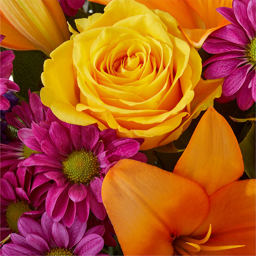 Colorful Visions Bouquet –  Rosewood Flower Shop, Humble TX