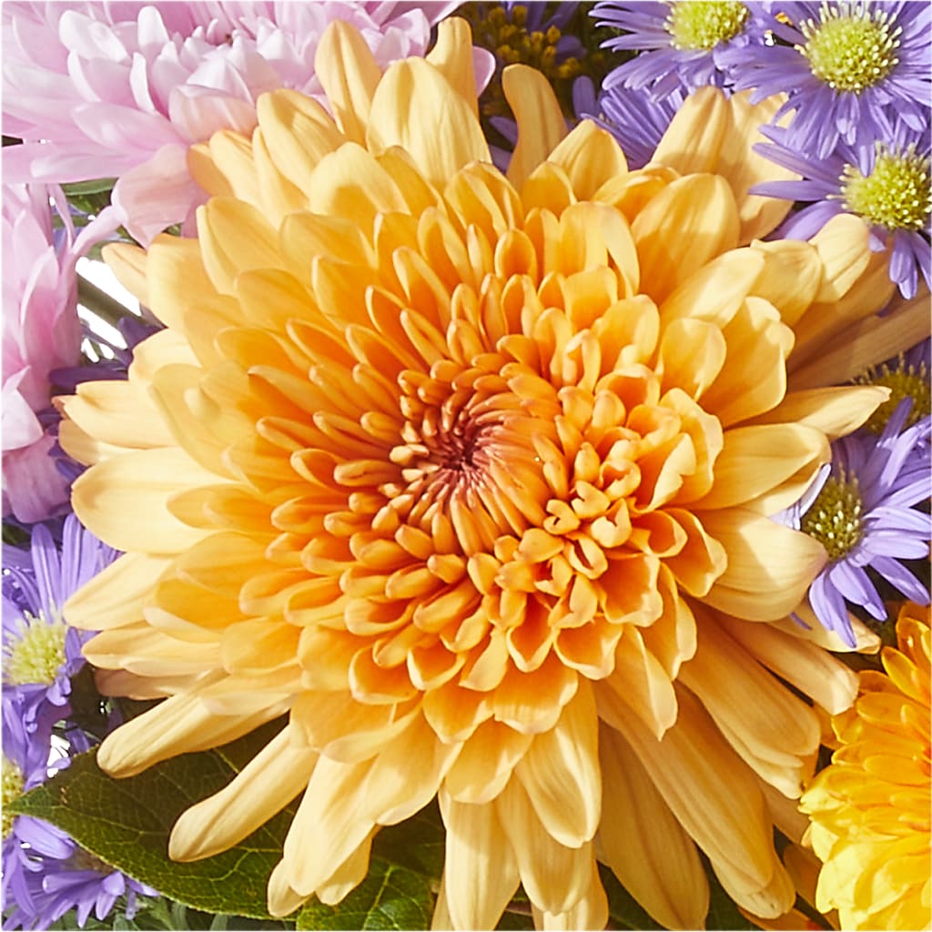 Countryside Bouquet –  Rosewood Flower Shop, Humble TX