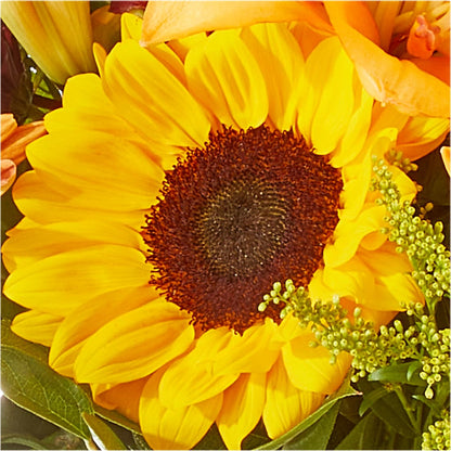 Seasons Change Bouquet –  Rosewood Flower Shop, Humble TX