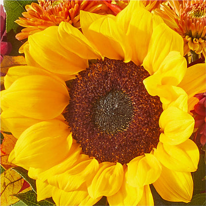 Sunny Side Bouquet –  Rosewood Flower Shop, Humble TX