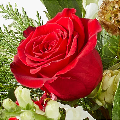 Deck the Halls Bouquet –  Rosewood Flower Shop, Humble TX