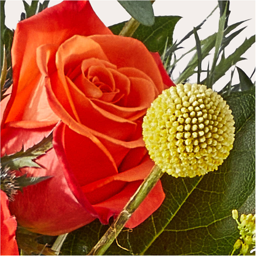 Disco Bouquet –  Rosewood Flower Shop, Humble TX