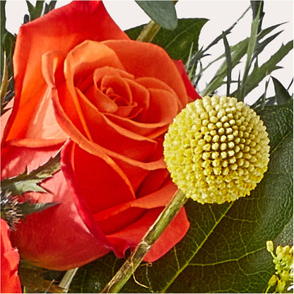 Disco Bouquet –  Rosewood Flower Shop, Humble TX