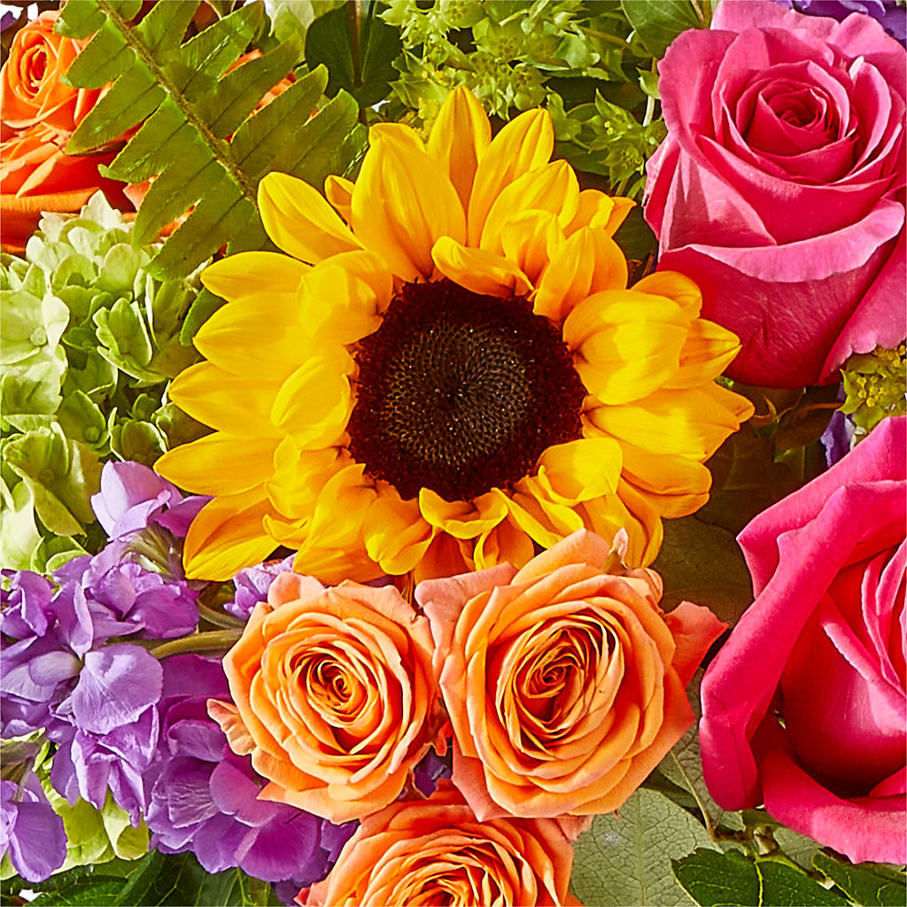 Vibrant Greetings Bouquet –  Rosewood Flower Shop, Humble TX