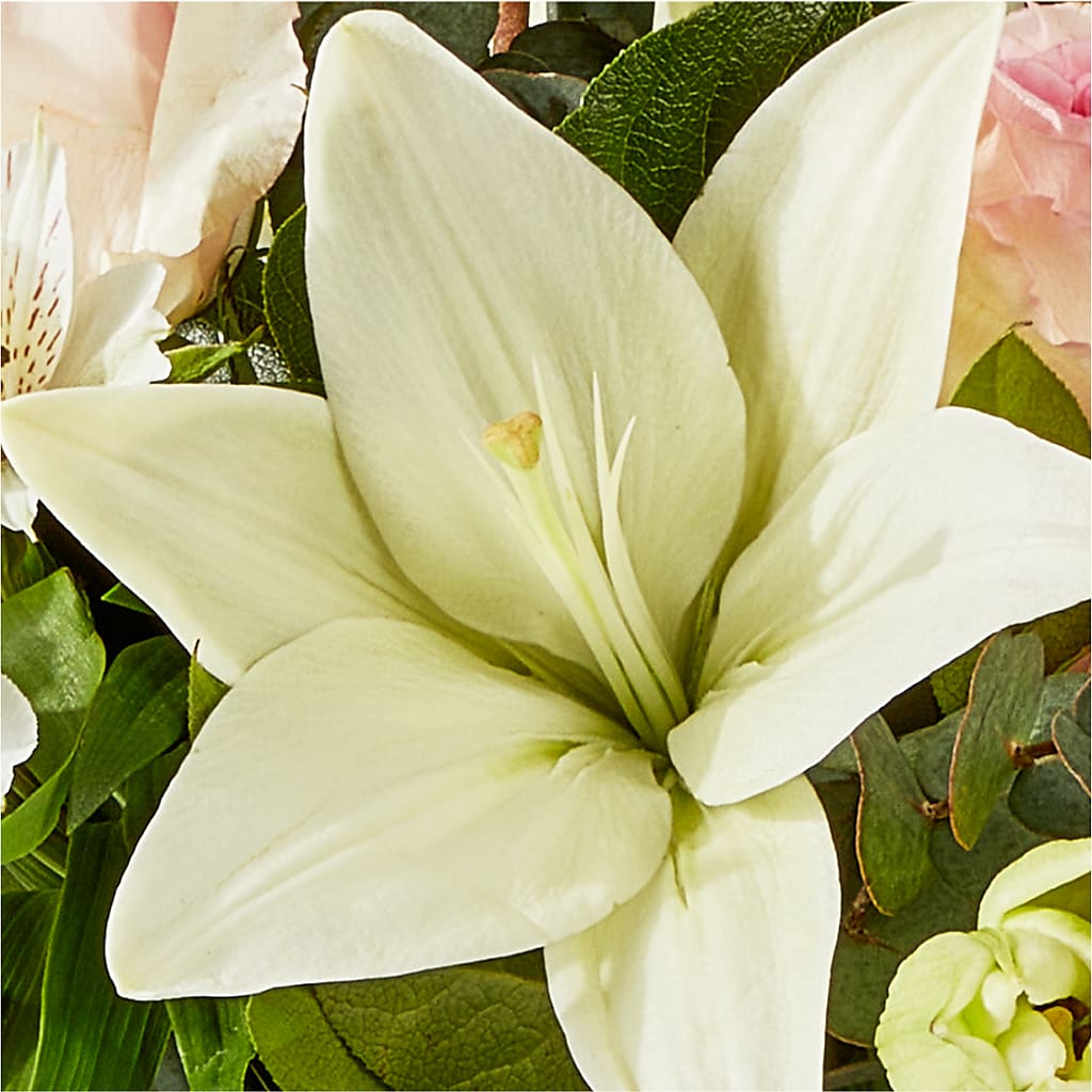 Ballet Slippers Bouquet –  Rosewood Flower Shop, Humble TX