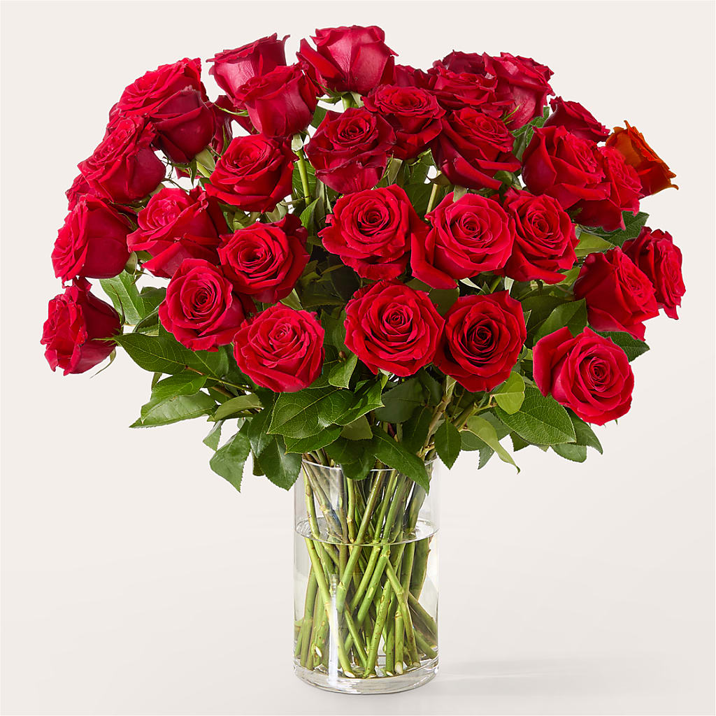 The One Red Rose Bouquet –  Rosewood Flower Shop, Humble TX