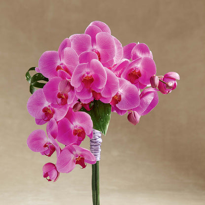 Glorious Bouquet –  Rosewood Flower Shop, Humble TX
