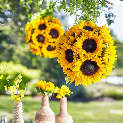 Sublime Garden Hanging Arrangement –  Rosewood Flower Shop, Humble TX