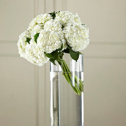 White Hydrangea Hand-Tied Bouquet –  Rosewood Flower Shop, Humble TX