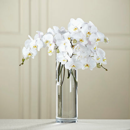 White Phalaenopsis Bouquet –  Rosewood Flower Shop, Humble TX